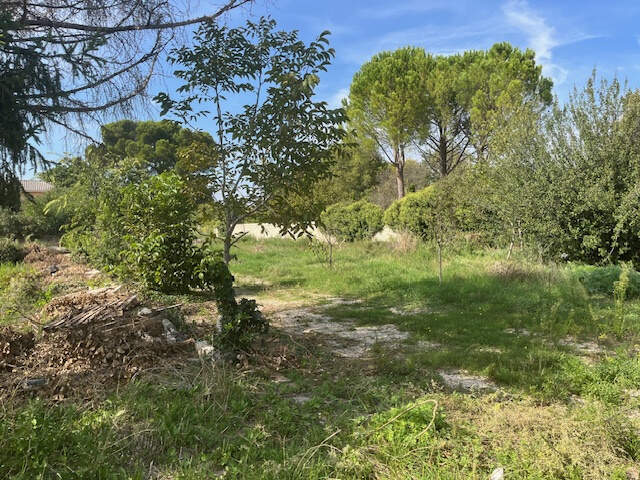 À vendre : Terrain constructible à Carpentras   Quartier cal — photo du bien