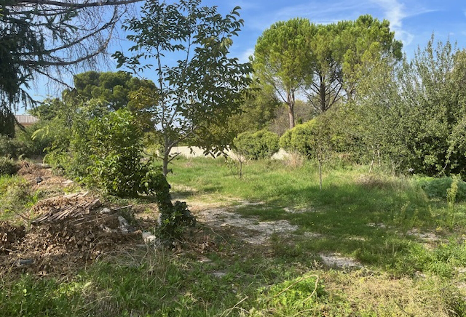 À vendre : Terrain constructible à Carpentras   Quartier cal — photo 1
