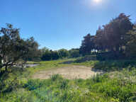 À vendre : Terrain constructible à Entraigues   Lotissement — photo 2