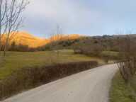 Terrain Tartonne — photo 3