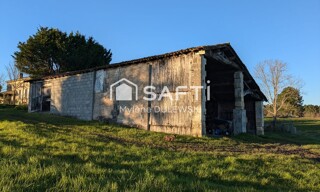 Photo N° 4