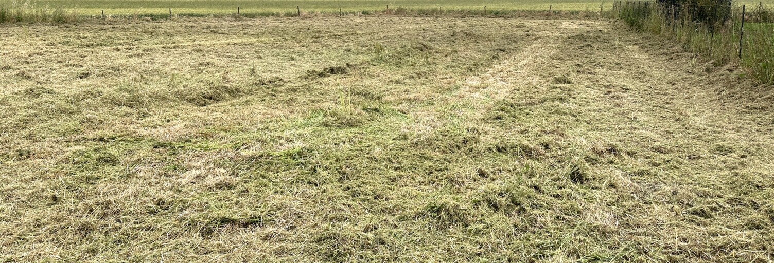 Terrain  1480 m² à vendre à Saint-Martin-de-Sanzay (79290)