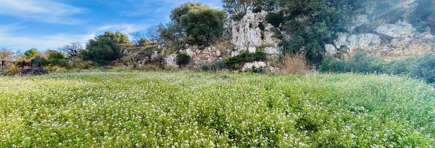 Terrain  430 m² à vendre à Gigean (34770)