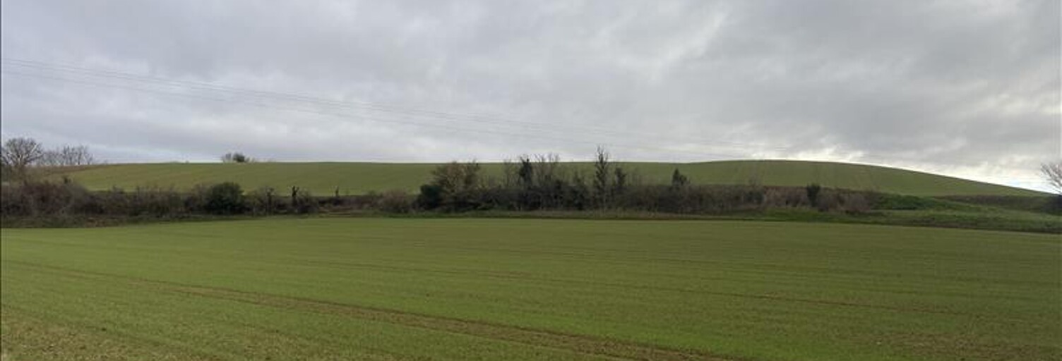 Terrain  14000 m² à vendre à Villefranche-de-Lauragais (31290)