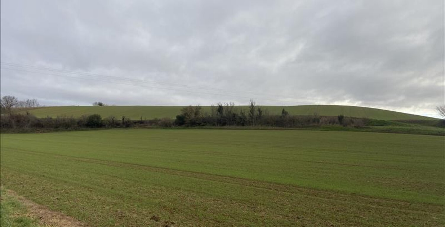 Vente terrain  14000 m² Villefranche-de-Lauragais (31290) — photo 1