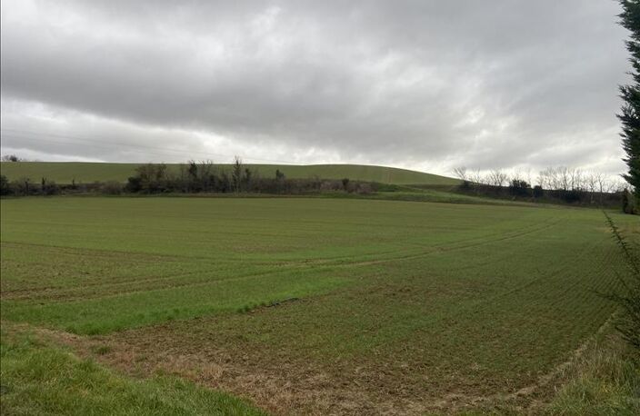 Vente terrain  14000 m² Villefranche-de-Lauragais (31290) — photo 2