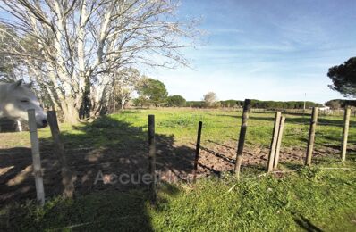 terrain  pièces 6270 m2 à vendre à Aigues-Mortes (30220)