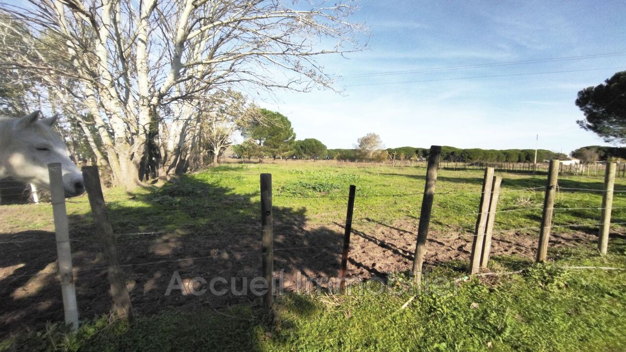 terrain  pièces 6270 m2 à vendre à Aigues-Mortes (30220)