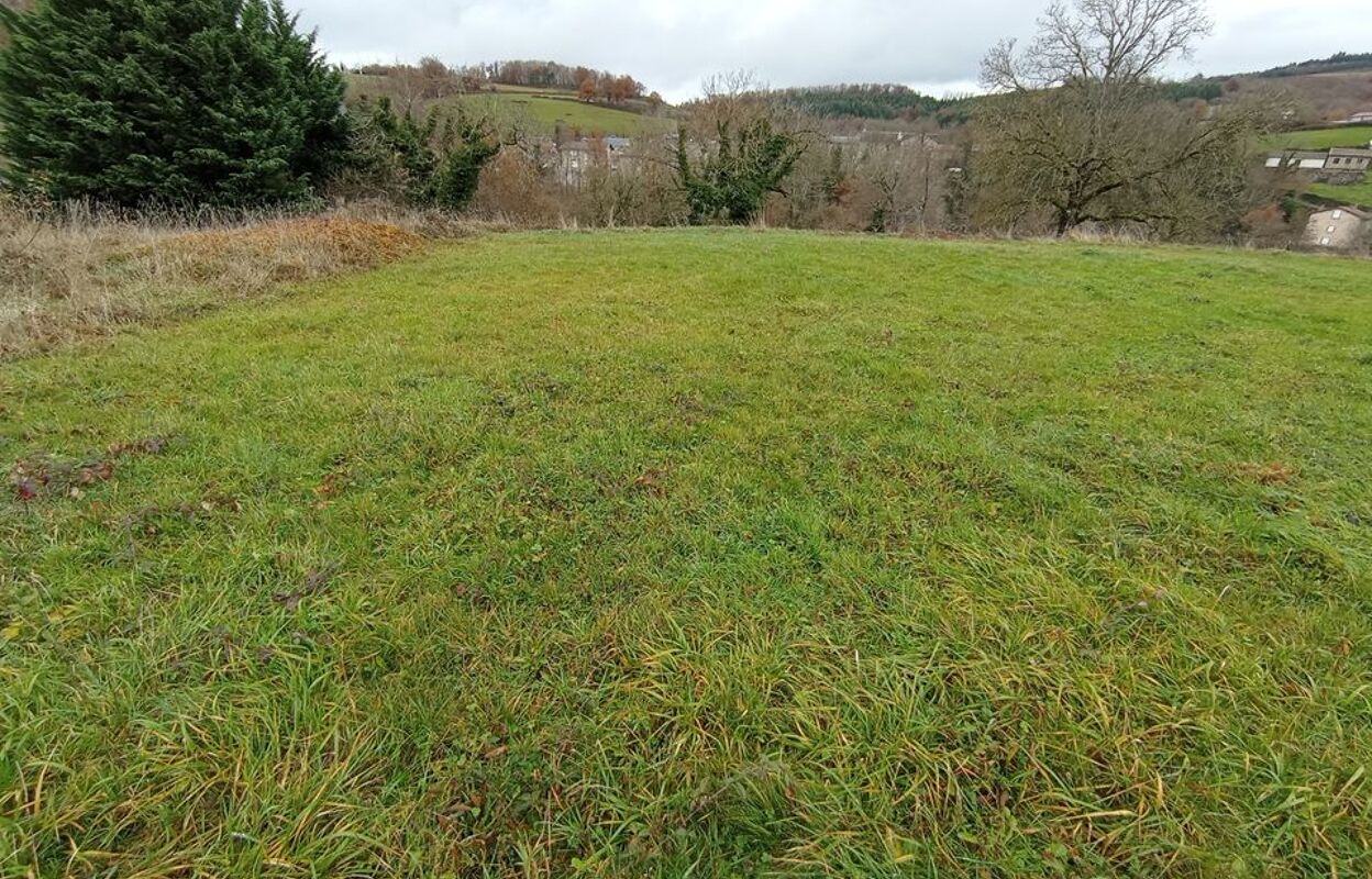 terrain  pièces 1153 m2 à vendre à Ferrières-sur-Sichon (03250)