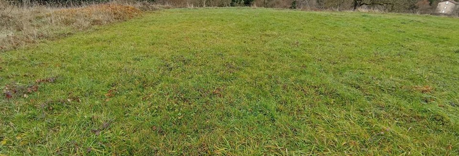 Terrain  1153 m² à vendre à Ferrières-sur-Sichon (03250)