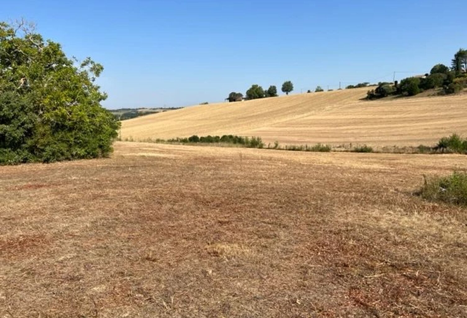 Terrain de 1220 m2 GIMONT — photo 1