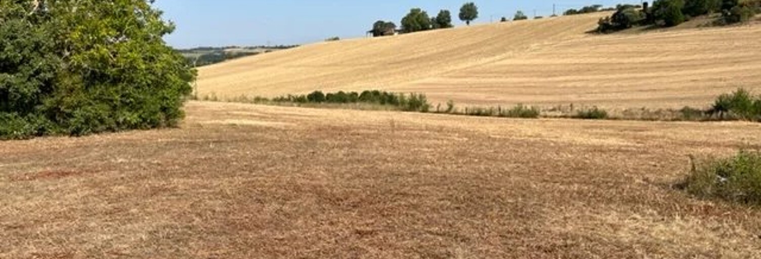 Terrain  1220 m² à vendre à Gimont (32200)