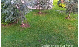 Photo N° 15