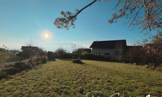 Photo N° 4