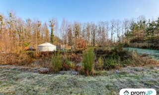 Photo N° 5