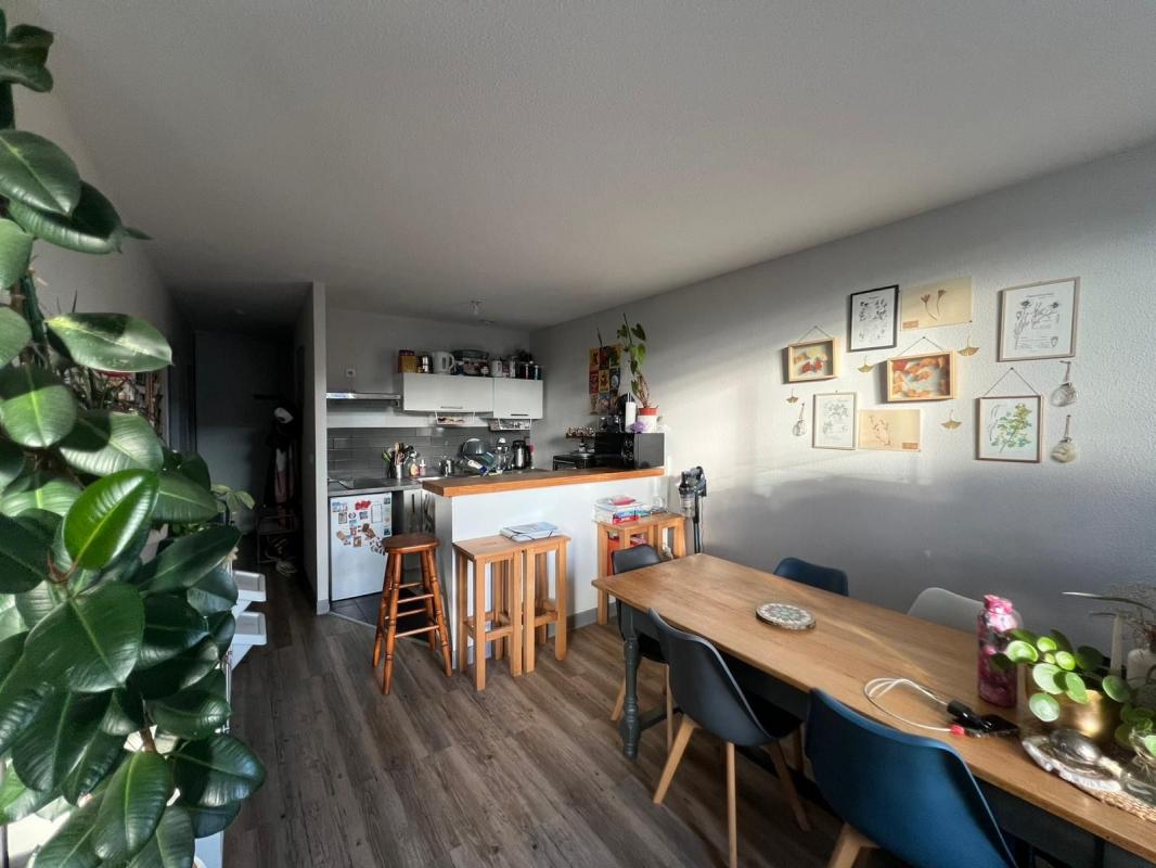 Appartement 2 pièces  à louer Aire-sur-l'Adour 40800