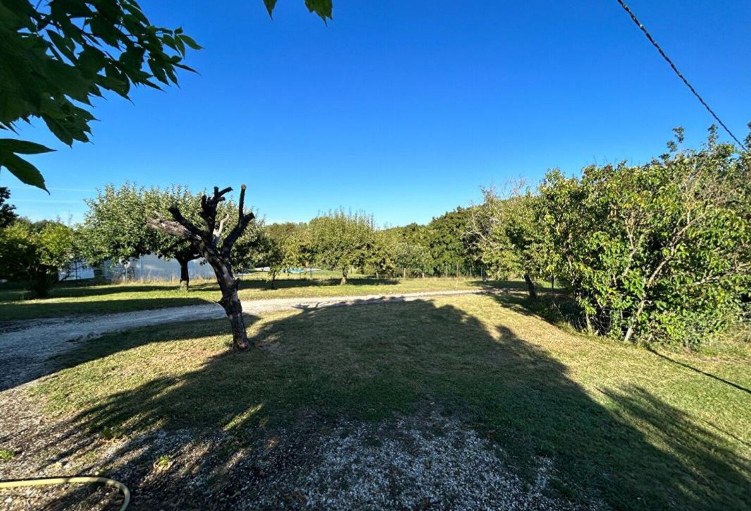 Terrain À Vendre — photo 1