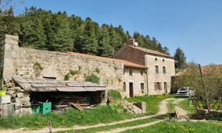 Photo N° 3