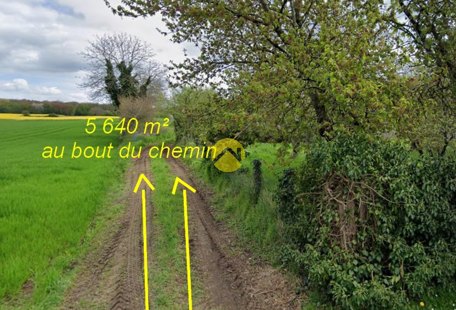 LA NATURE COMME VOISINE — photo 1