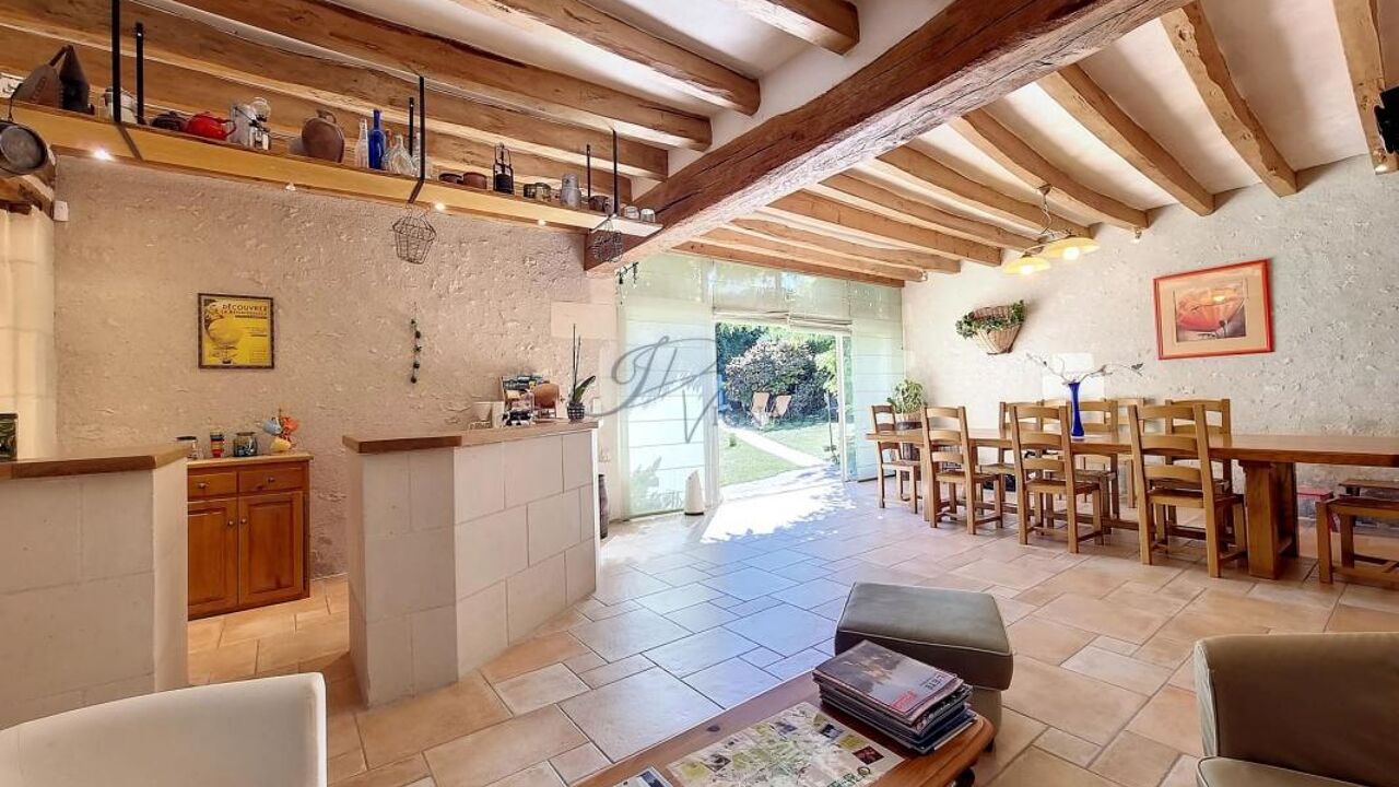 maison 11 pièces 320 m2 à vendre à Bléré (37150)