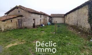 Photo N° 4