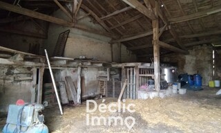 Photo N° 6