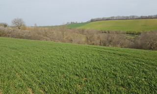 Photo N° 2
