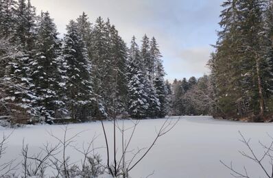 vente terrain 110 000 € à proximité de Gérardmer (88400)