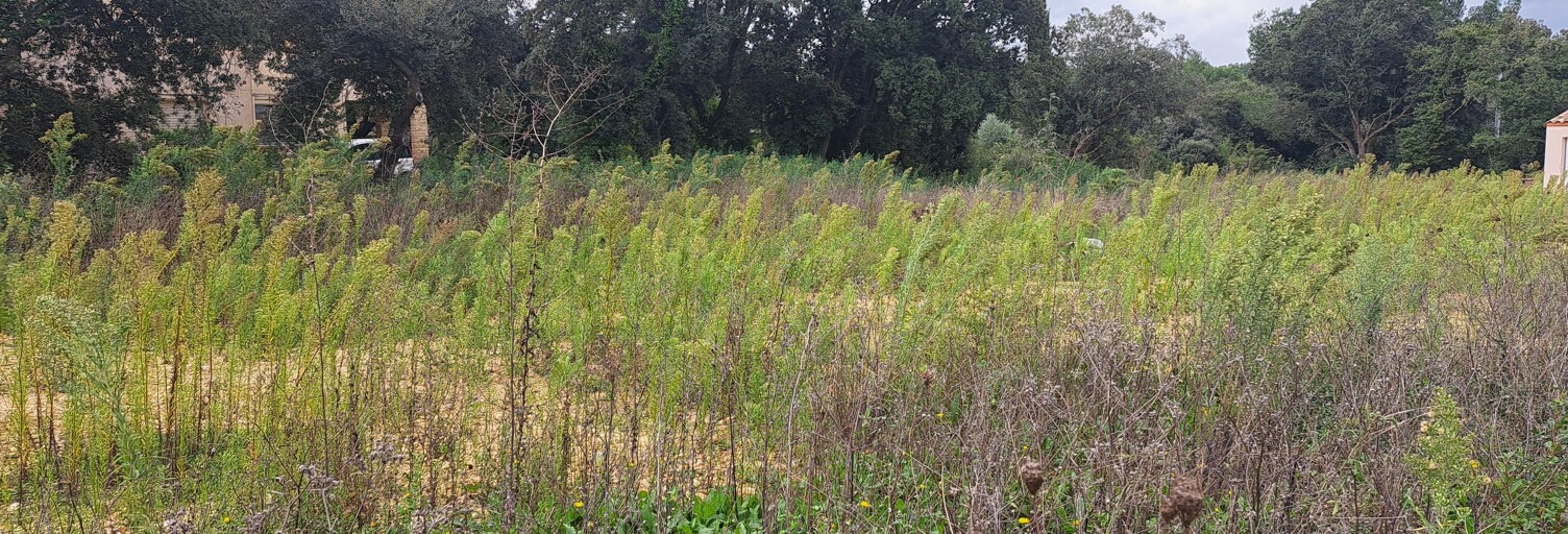 Terrain 600 m² à construire Saint-Victor-des-Oules (30700)