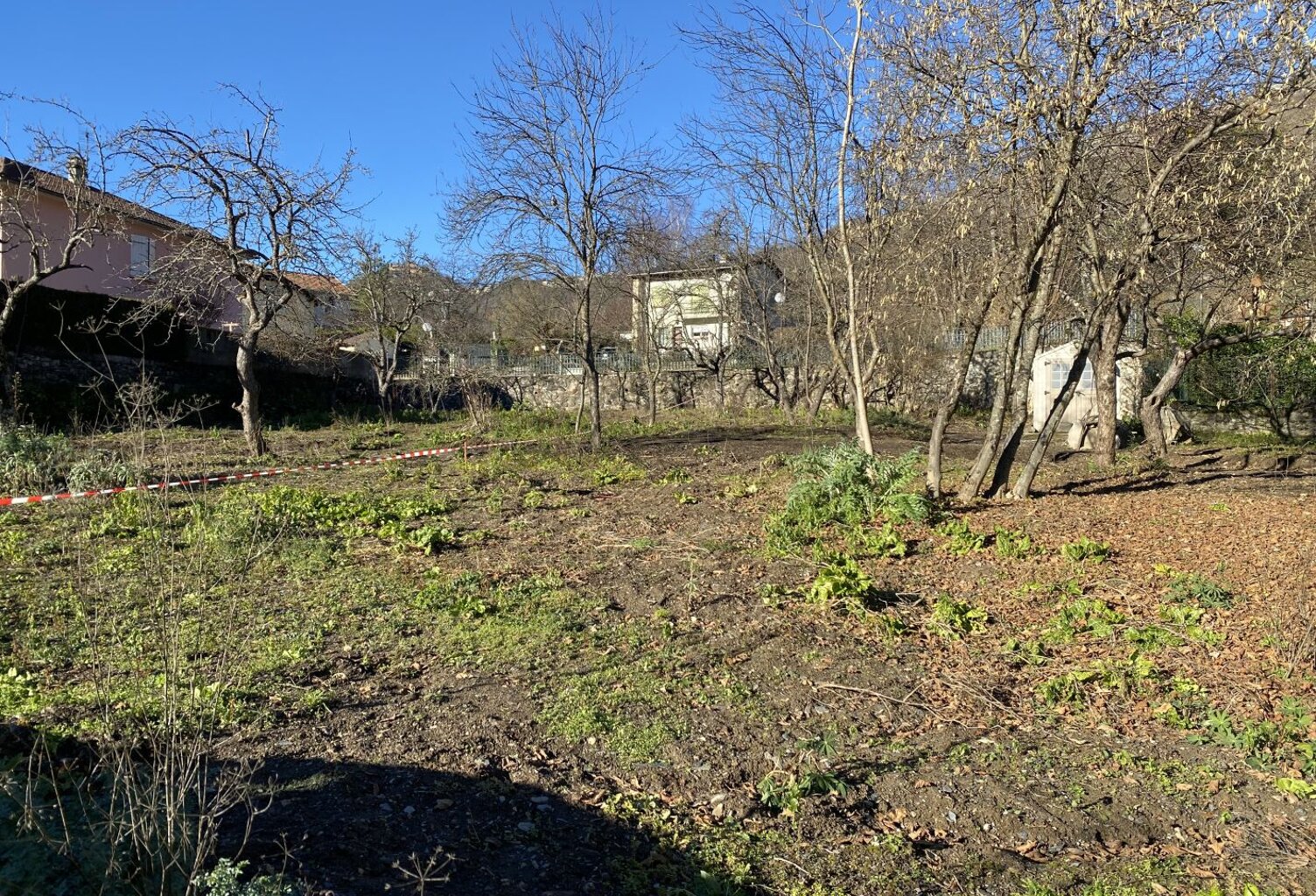 Terrain — photo 1