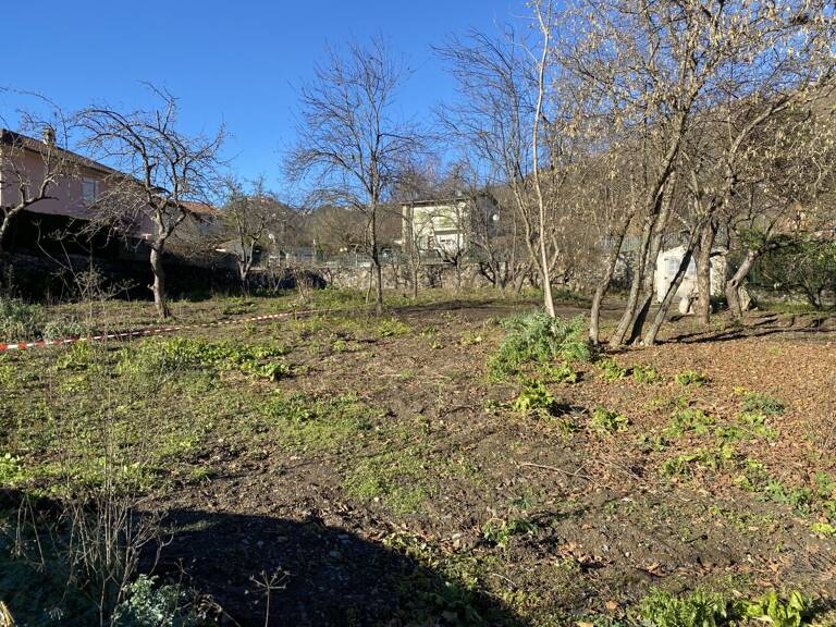 Terrain — photo 1