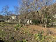 Terrain — photo 2