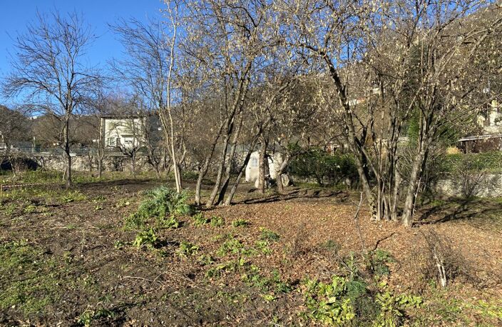 Terrain — photo 2