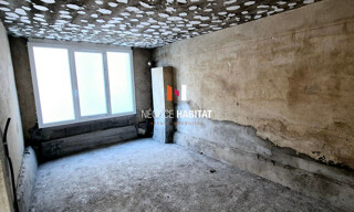 Photo N° 6