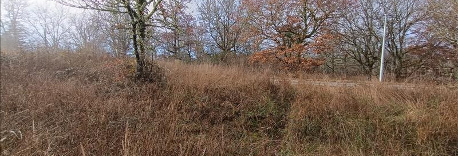 Terrain  2391 m² à vendre à Albas (46140)