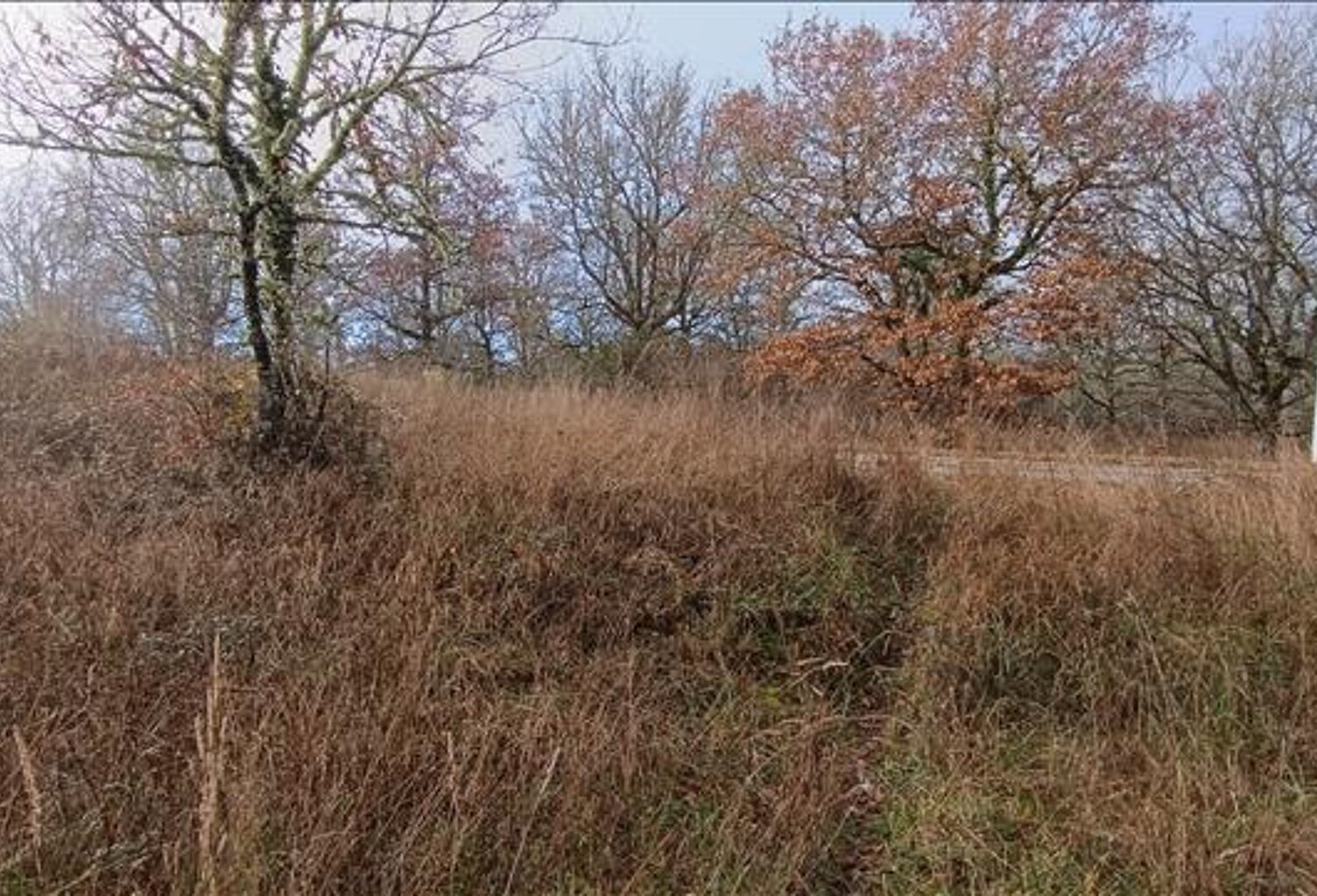 Terrain à bâtir de 0 pièces principales — photo 1
