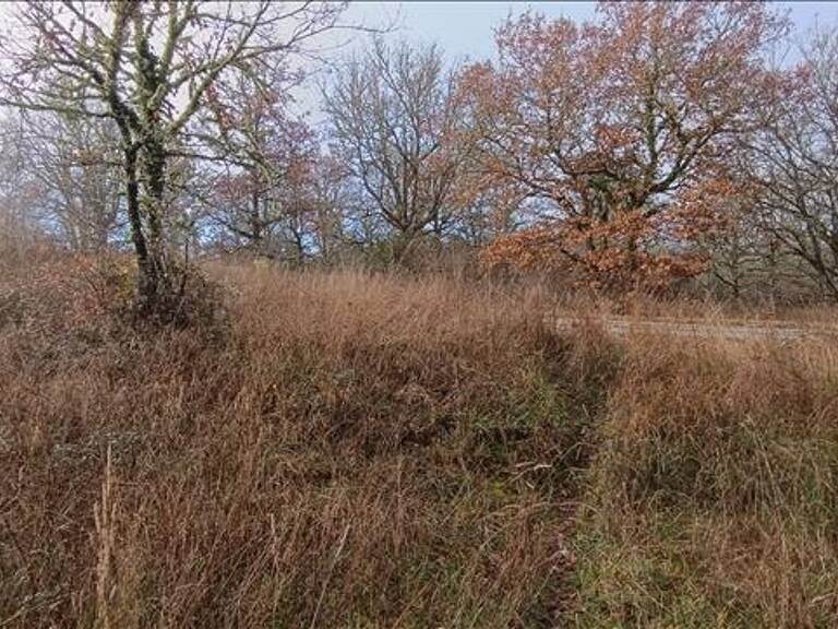 Terrain à bâtir de 0 pièces principales — photo 1