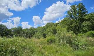 Terrain  15293 m² à vendre à Orçay (41300)