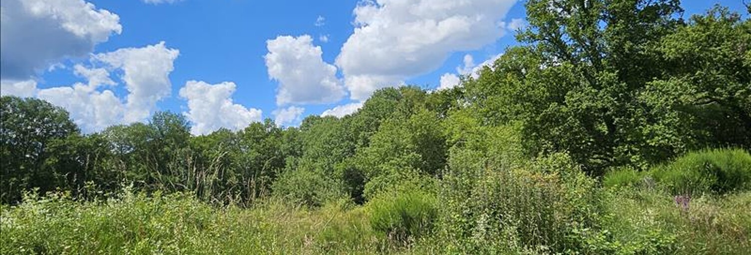 Terrain  15293 m² à vendre à Orçay (41300)