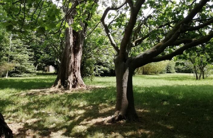 Mas / Bastides — photo 4