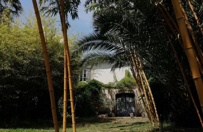 Mas / Bastides — photo 5