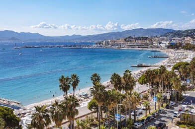 Commerce  1232000 €