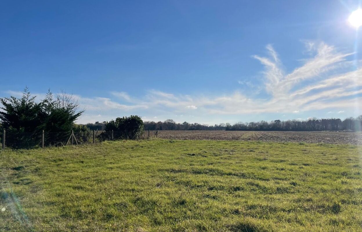 terrain  pièces 950 m2 à vendre à Saint-Sever (40500)