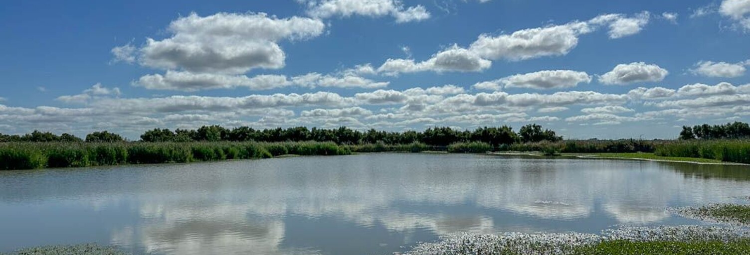 Terrain  47505 m² à vendre à Saint-Laurent-de-la-Prée (17450)