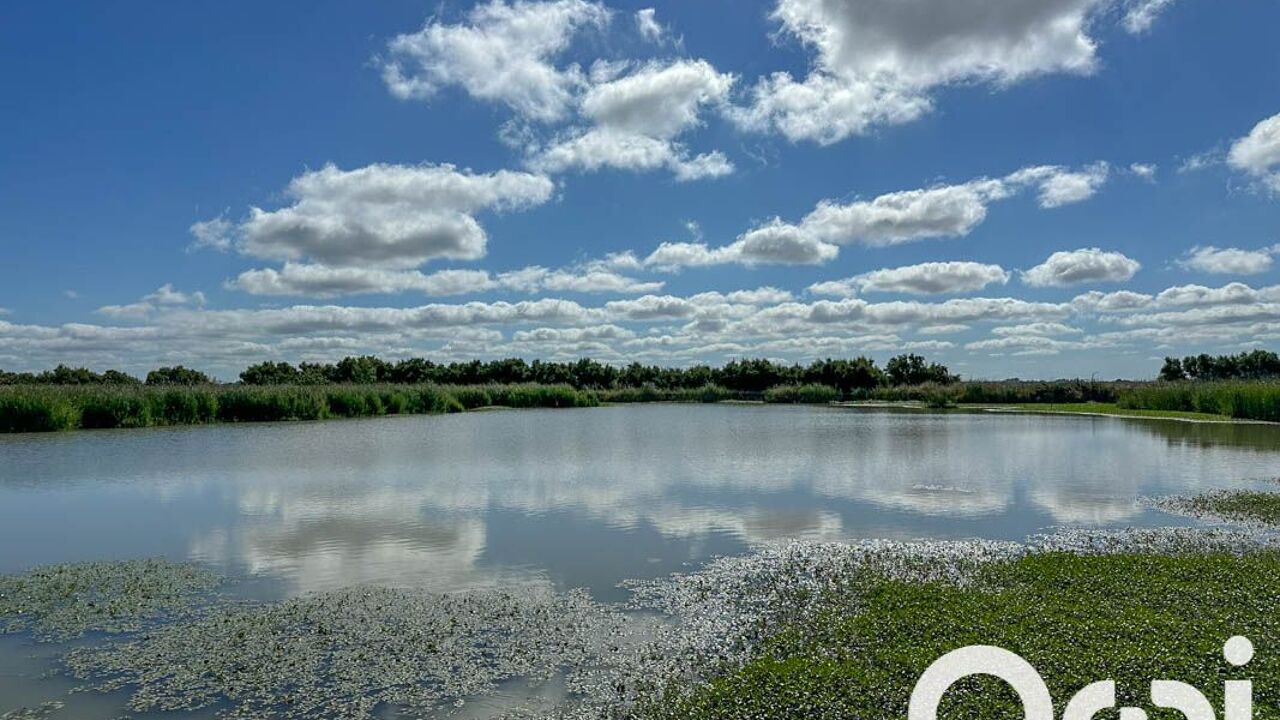 terrain  pièces 47505 m2 à vendre à Saint-Laurent-de-la-Prée (17450)