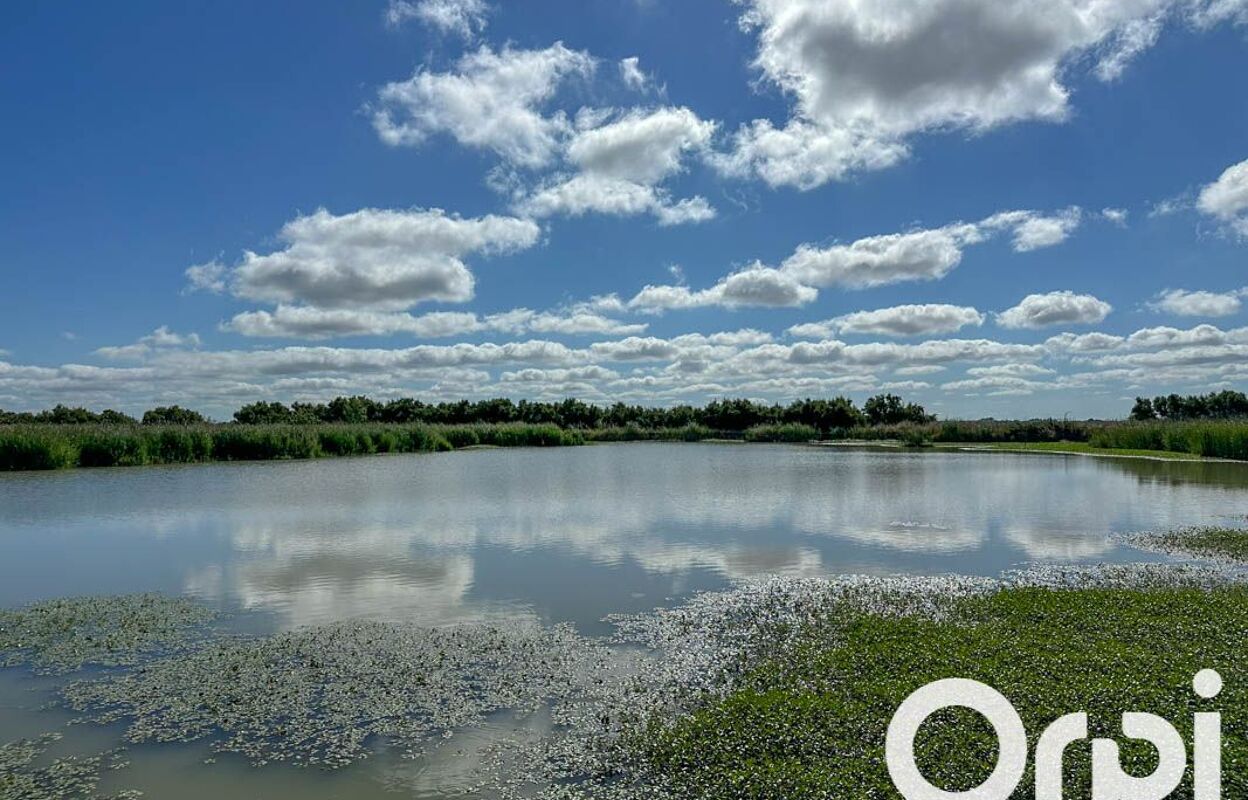 terrain  pièces 47505 m2 à vendre à Saint-Laurent-de-la-Prée (17450)