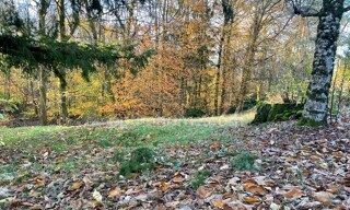 Photo N° 4
