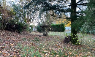 Photo N° 5