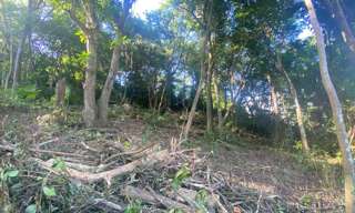 Terrain  1596 m² à vendre à Schœlcher (97233)