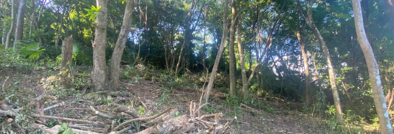 Terrain  1596 m² à vendre à Schœlcher (97233)